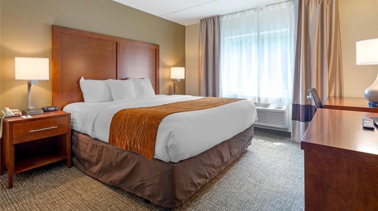 Comfort Inn & Suites Wilkes-Barre Room