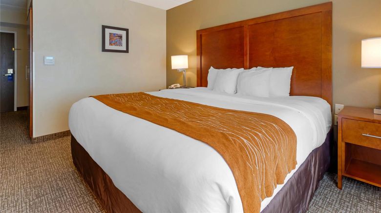 <b>Comfort Inn & Suites Wilkes-Barre Room</b>. Images powered by <a href="https://iceportal.shijigroup.com/" title="IcePortal" target="_blank">IcePortal</a>.