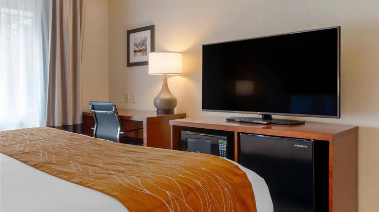 Comfort Inn & Suites Wilkes-Barre Room