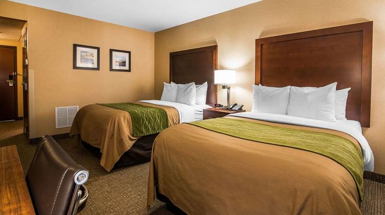 Quality Inn & Suites Room