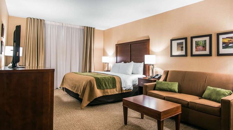 Quality Inn & Suites Room