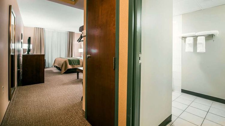 Quality Inn & Suites Room