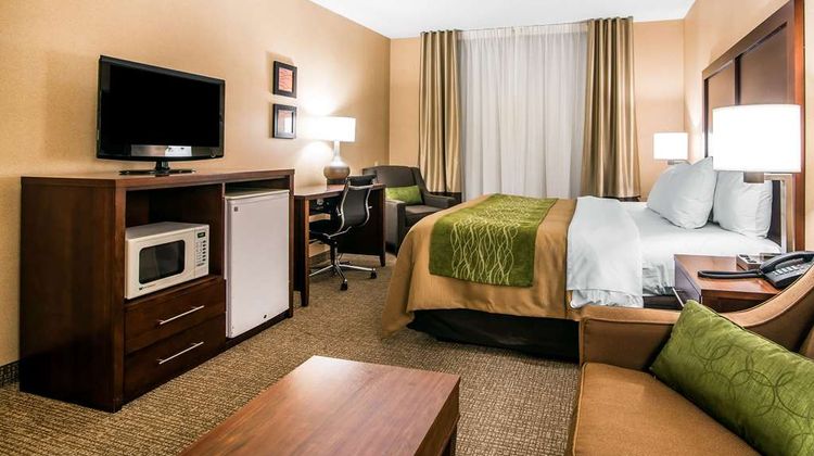 Quality Inn & Suites Room