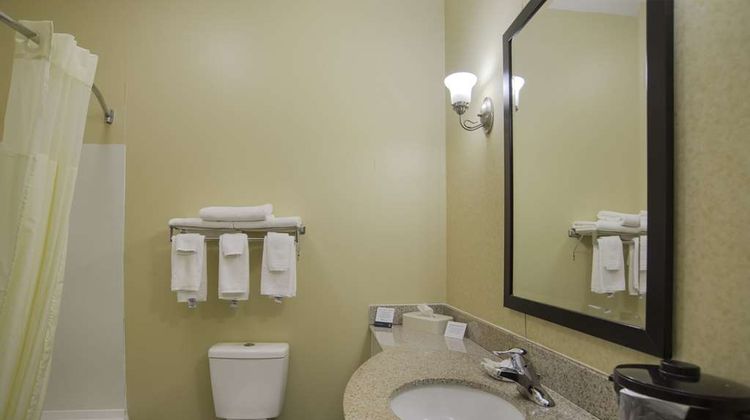 Quality Inn & Suites Room