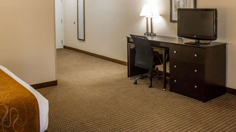 <b>Comfort Suites Lewisburg Room</b>. Images powered by <a href="https://iceportal.shijigroup.com/" title="IcePortal" target="_blank">IcePortal</a>.