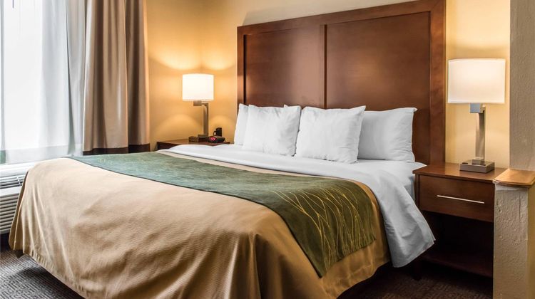 Comfort Inn Lancaster County Room
