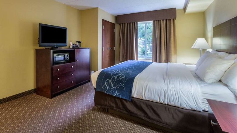 <b>Comfort Suites Gettysburg Suite</b>. Images powered by <a href="https://iceportal.shijigroup.com/" title="IcePortal" target="_blank">IcePortal</a>.