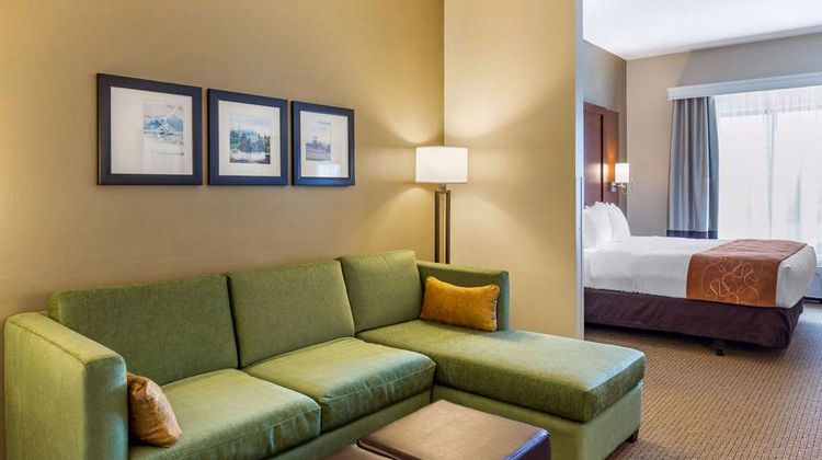 Comfort Suites Amish Country Suite