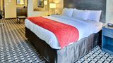 Comfort Suites Suite