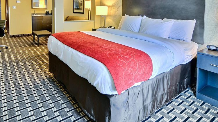 Comfort Suites Suite