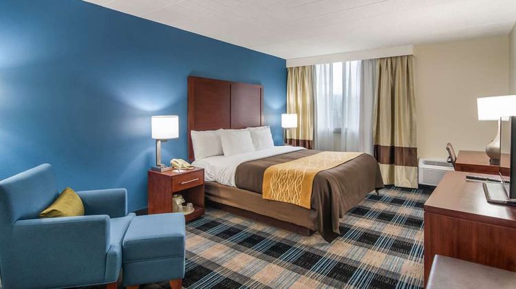 Comfort Inn & Suites Room