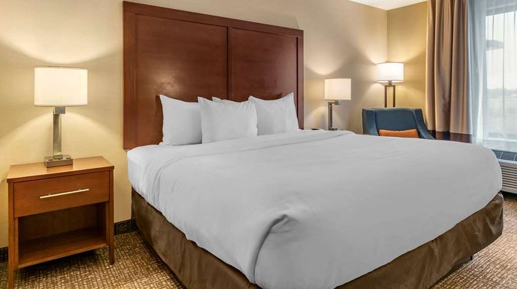 Comfort Inn PA Turnpike-I 81 Room