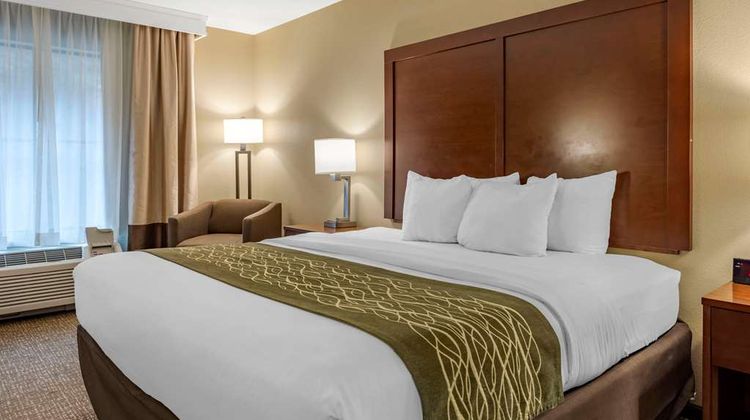 Comfort Inn & Suites Pittsburgh Room