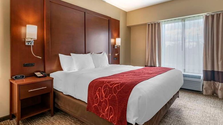 <b>Comfort Suites Manheim Lancaster Suite</b>. Images powered by <a href="https://iceportal.shijigroup.com/" title="IcePortal" target="_blank">IcePortal</a>.