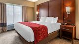 Comfort Suites Manheim Lancaster Suite