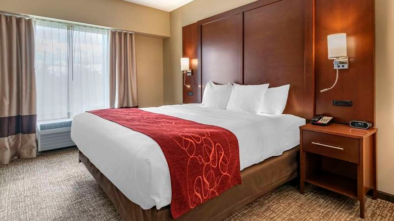 <b>Comfort Suites Manheim Lancaster Suite</b>. Images powered by <a href="https://iceportal.shijigroup.com/" title="IcePortal" target="_blank">IcePortal</a>.