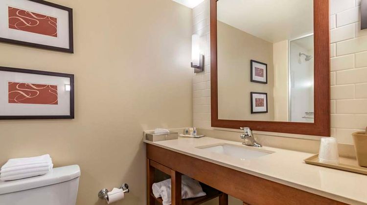 Comfort Suites Manheim Lancaster Suite