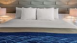 <b>Comfort Inn And Suites Levittown Suite</b>. Images powered by <a href="https://iceportal.shijigroup.com/" title="IcePortal" target="_blank">IcePortal</a>.