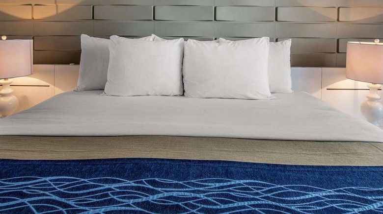 <b>Comfort Inn And Suites Levittown Suite</b>. Images powered by <a href="https://iceportal.shijigroup.com/" title="IcePortal" target="_blank">IcePortal</a>.