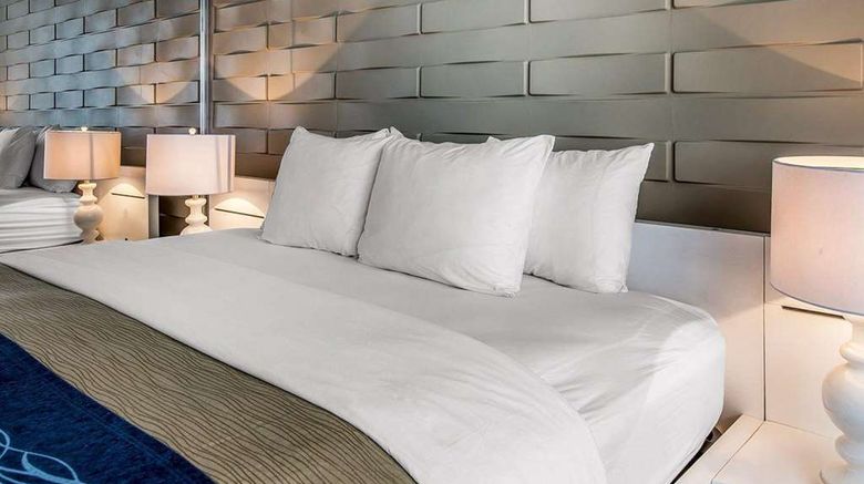 <b>Comfort Inn And Suites Levittown Suite</b>. Images powered by <a href="https://iceportal.shijigroup.com/" title="IcePortal" target="_blank">IcePortal</a>.