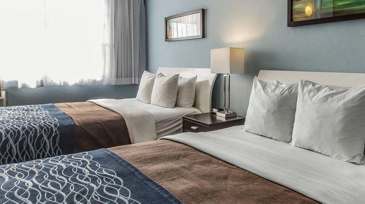 Comfort Inn And Suites Levittown Room
