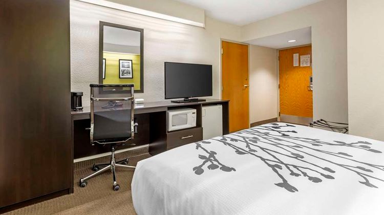 Sleep Inn Carolina First Center Room