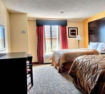 Quality Inn & Suites Greenvile Room