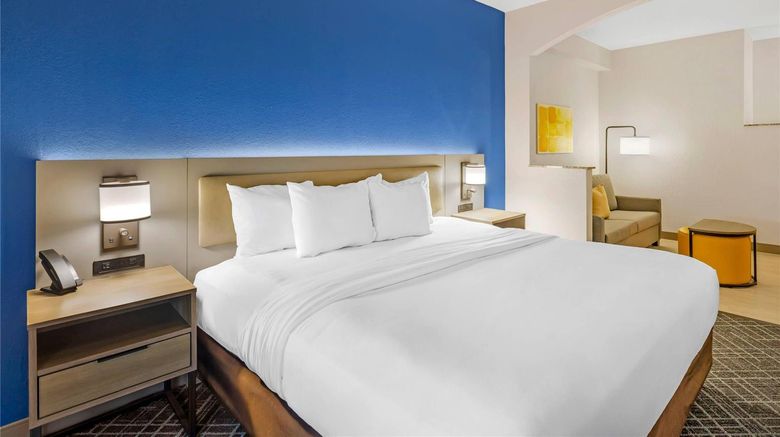 <b>Comfort Suites Sumter Room</b>. Images powered by <a href="https://iceportal.shijigroup.com/" title="IcePortal" target="_blank">IcePortal</a>.