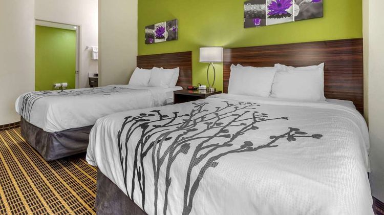 Sleep Inn Room