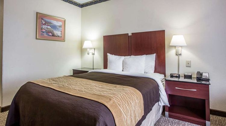 Comfort Inn & Suites Ft Jackson Maingate Room