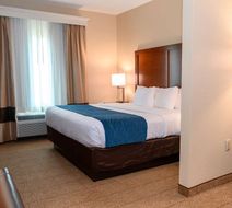 Comfort Inn & Suites Patriots Point Room