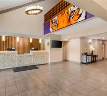 Comfort Inn & Suites Lobby