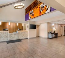 Comfort Inn & Suites Lobby