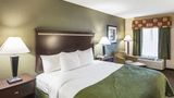 Quality Inn & Suites Haywood Mall Area Room