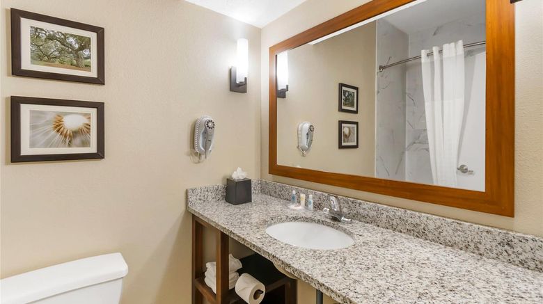 <b>Comfort Suites At The University Room</b>. Images powered by <a href="https://iceportal.shijigroup.com/" title="IcePortal" target="_blank">IcePortal</a>.