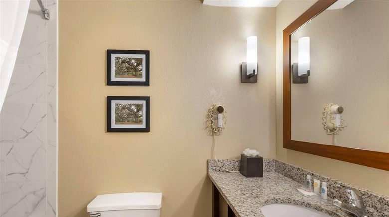 <b>Comfort Suites At The University Room</b>. Images powered by <a href="https://iceportal.shijigroup.com/" title="IcePortal" target="_blank">IcePortal</a>.