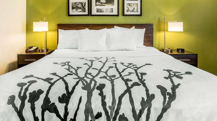Sleep Inn Room