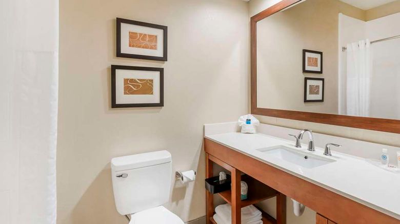 <b>Comfort Inn Summerville-Charleston Room</b>. Images powered by <a href="https://iceportal.shijigroup.com/" title="IcePortal" target="_blank">IcePortal</a>.
