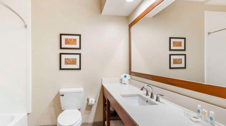 <b>Comfort Inn Summerville-Charleston Room</b>. Images powered by <a href="https://iceportal.shijigroup.com/" title="IcePortal" target="_blank">IcePortal</a>.