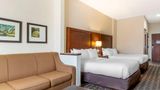 Comfort Inn Summerville-Charleston Suite