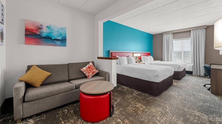 Comfort Suites Suite
