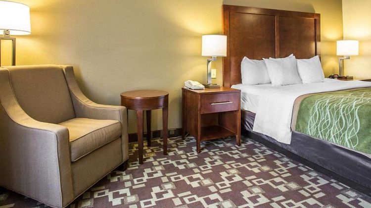Comfort Inn & Suites Room