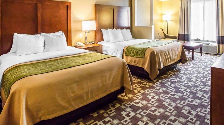 Comfort Inn & Suites Suite