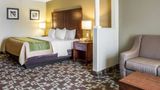 <b>Comfort Inn & Suites Suite</b>. Images powered by <a href="https://iceportal.shijigroup.com/" title="IcePortal" target="_blank">IcePortal</a>.