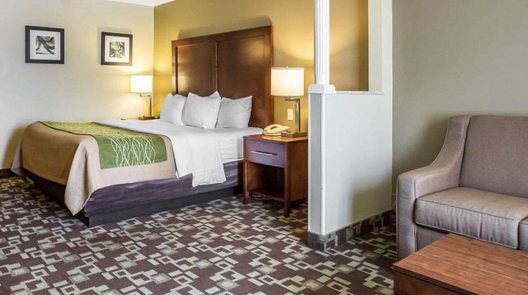 Comfort Inn & Suites Suite