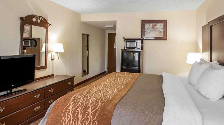 Comfort Inn and Suites Spartanburg North Room