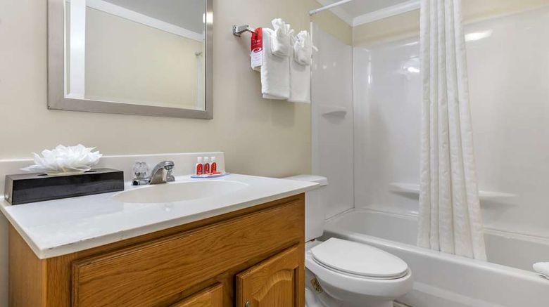 <b>Econo Lodge Conway Room</b>. Images powered by <a href="https://iceportal.shijigroup.com/" title="IcePortal" target="_blank">IcePortal</a>.