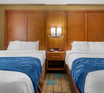 Comfort Suites Suite