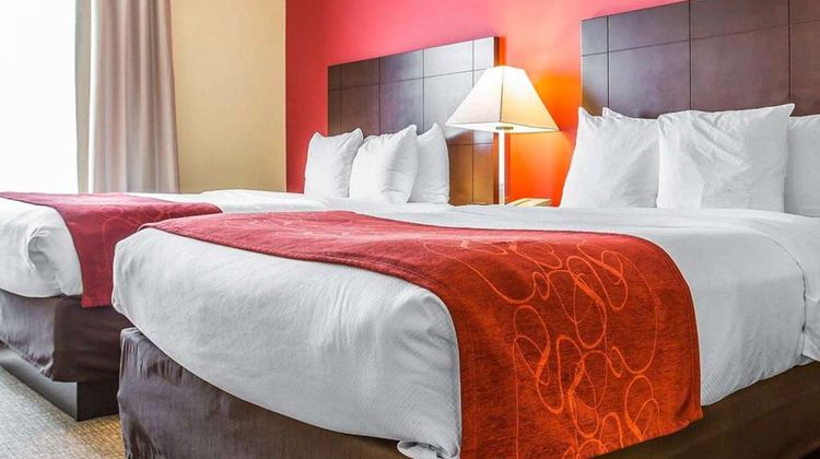 Comfort Suites Suite