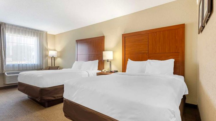 Comfort Inn and Suites Airport Room